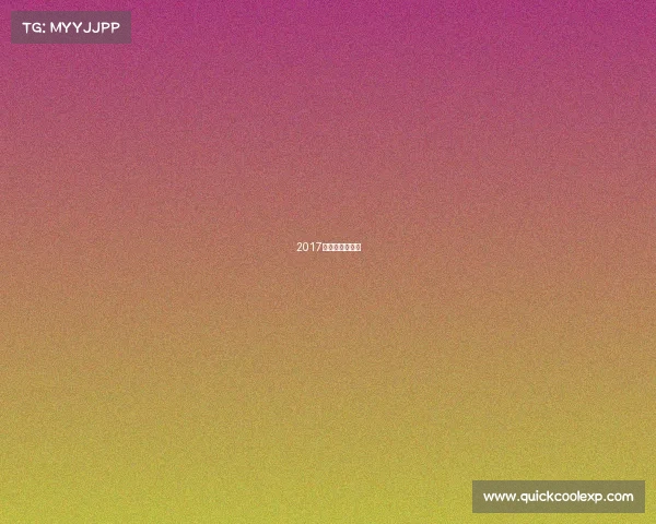 2017乒乓球女单冠军