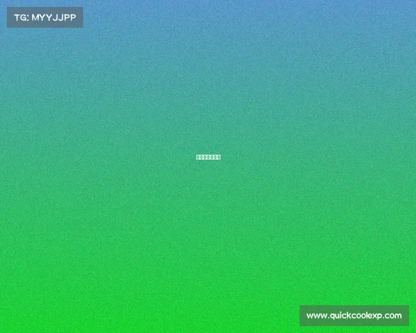 英锦赛赛事安排